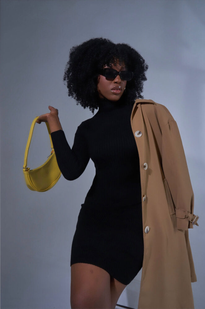 Дельфин в AF Studio