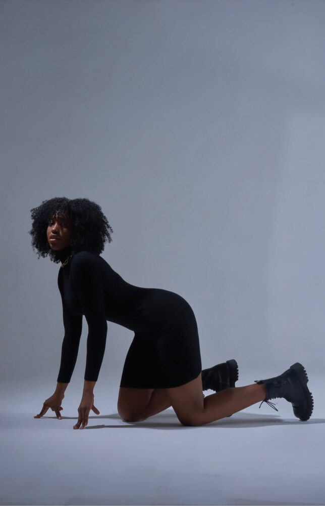 Дельфин в AF Studio