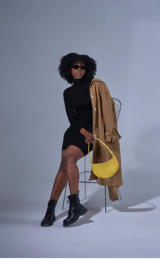 Дельфин в AF Studio