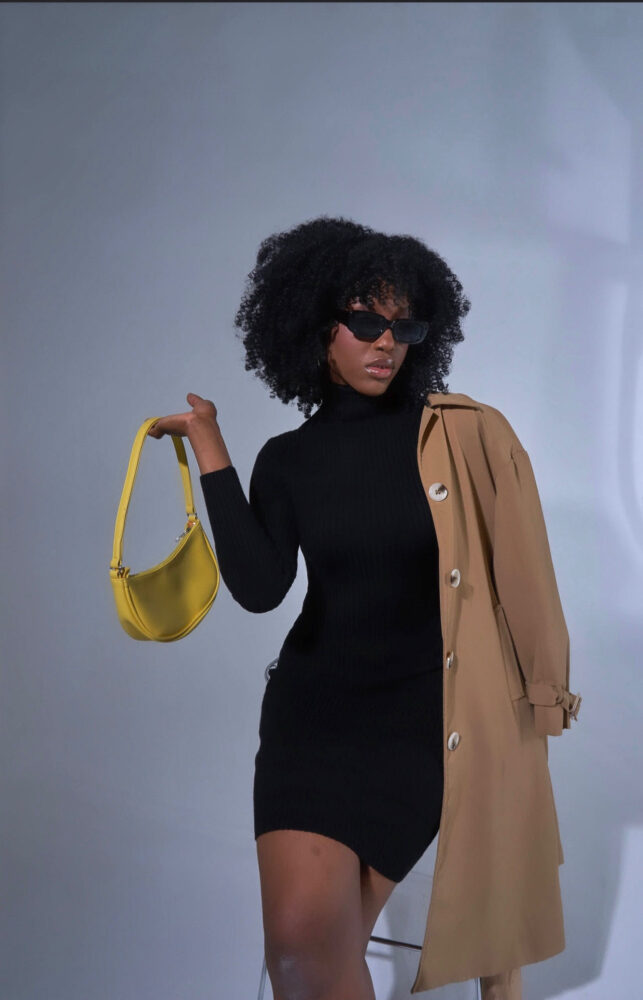 Дельфин в AF Studio