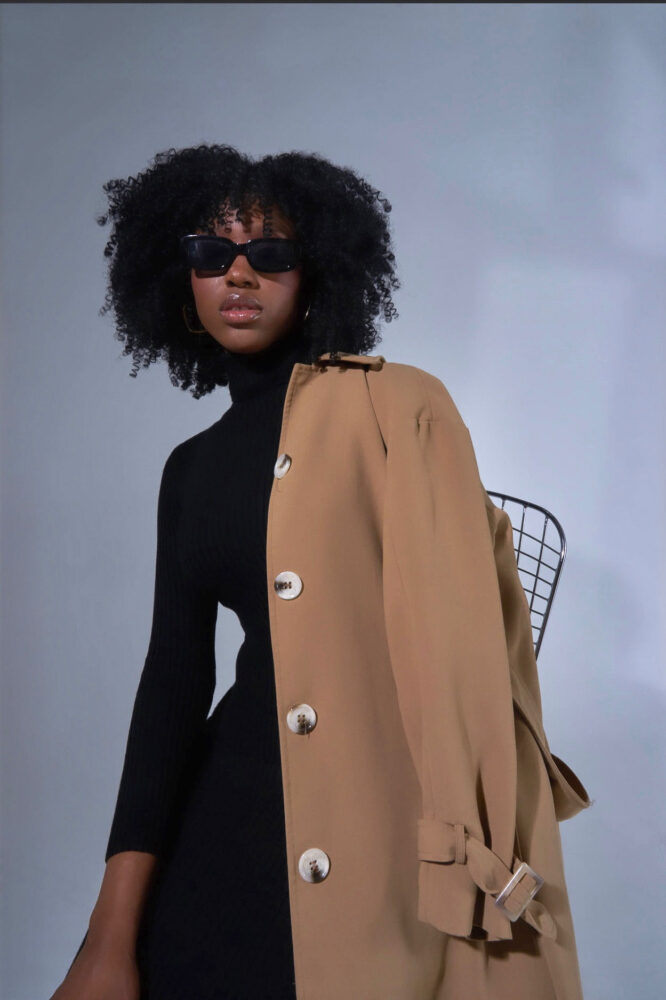 Дельфин в AF Studio