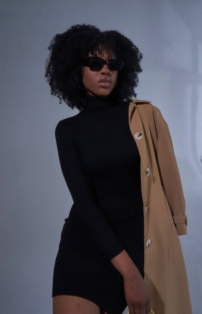 Дельфин в AF Studio