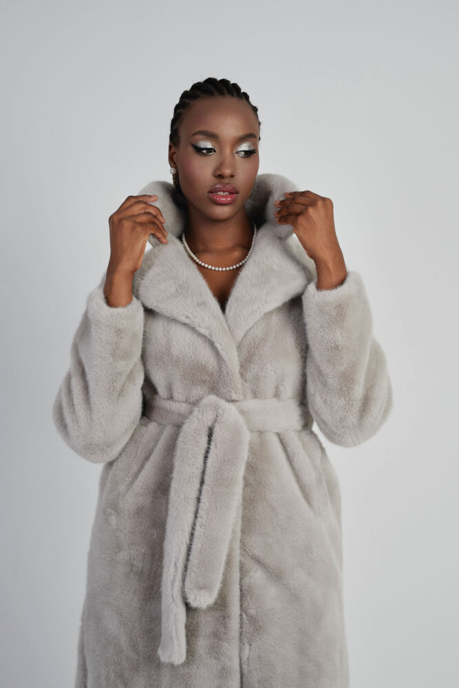 Дельфин в AF Studio