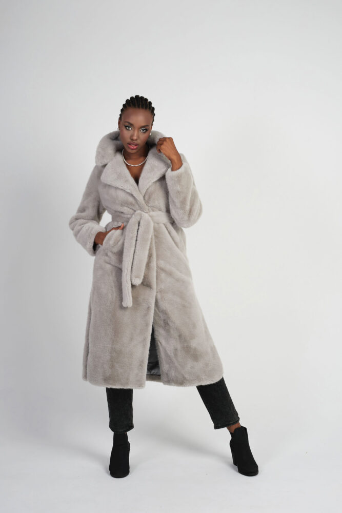 Дельфин в AF Studio