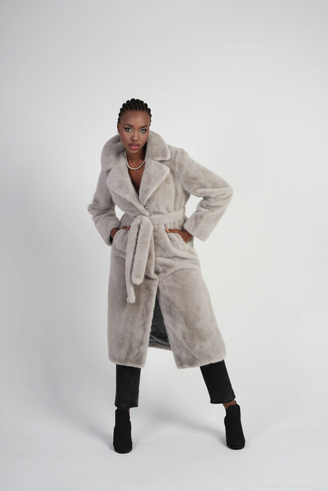 Дельфин в AF Studio