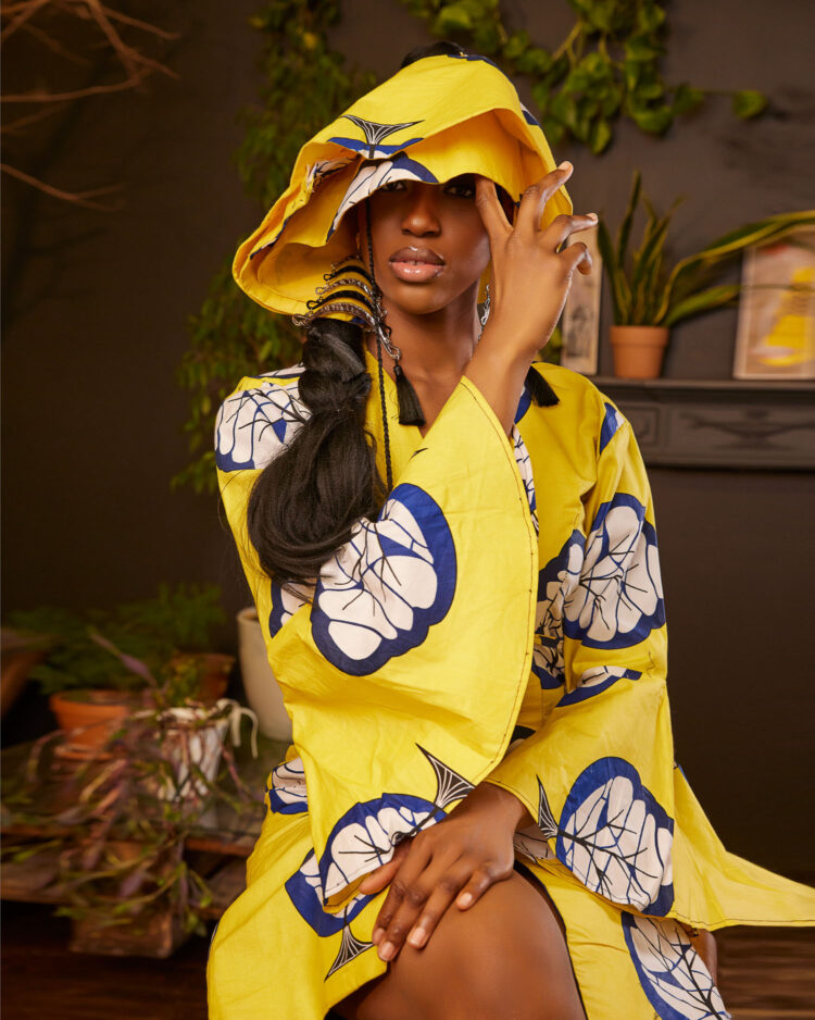 Дельфин в AF Studio