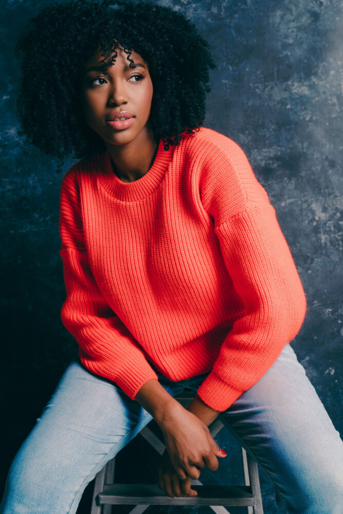 Дельфин в AF Studio