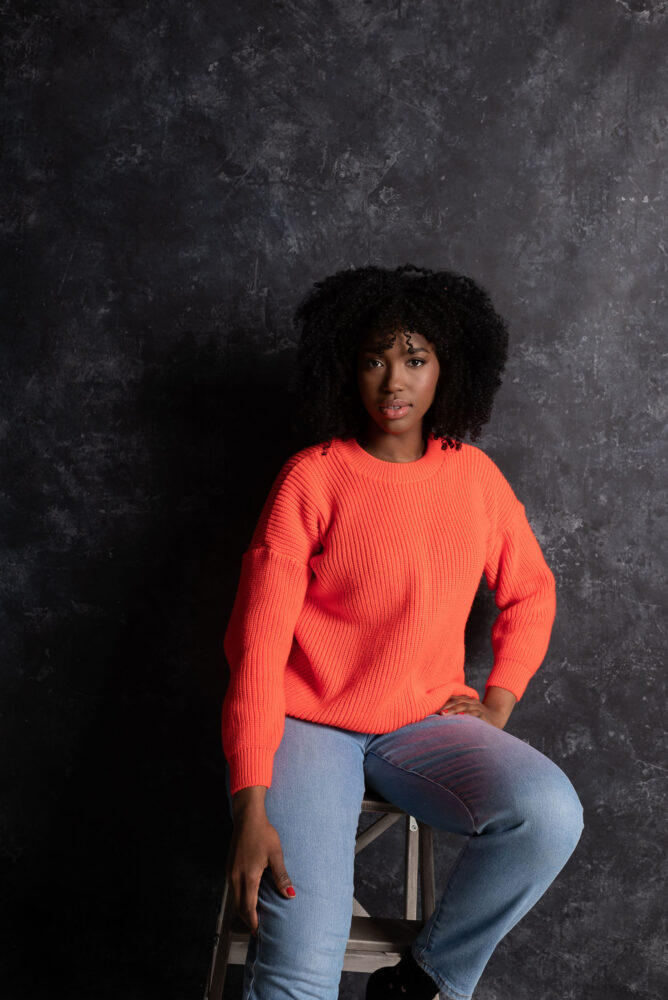 Дельфин в AF Studio