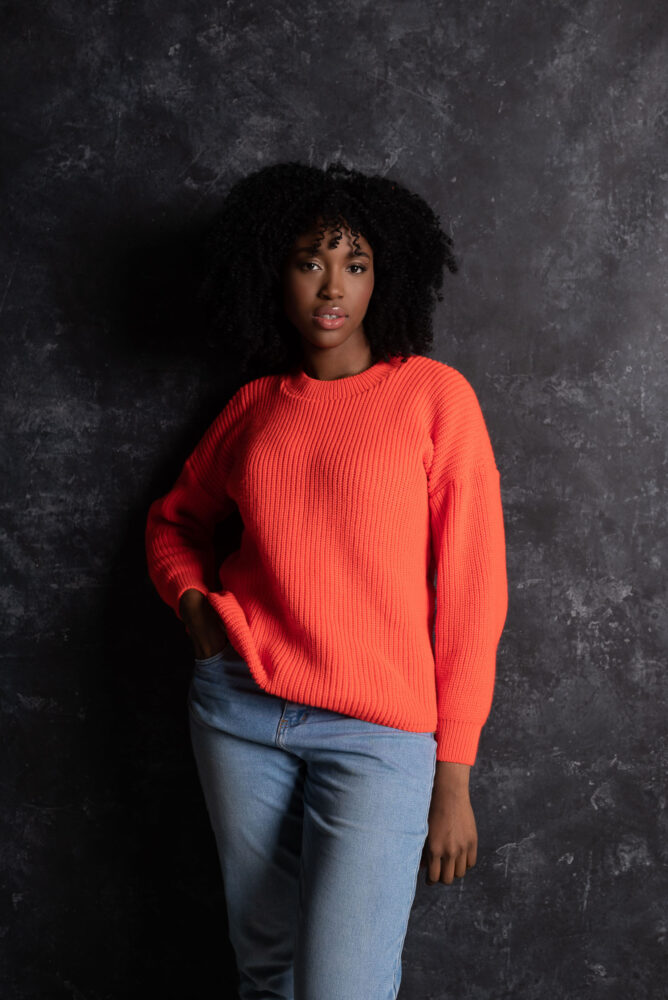 Дельфин в AF Studio