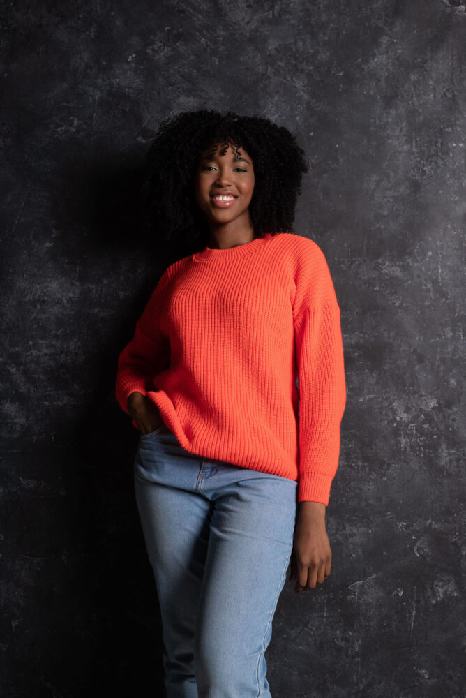 Дельфин в AF Studio