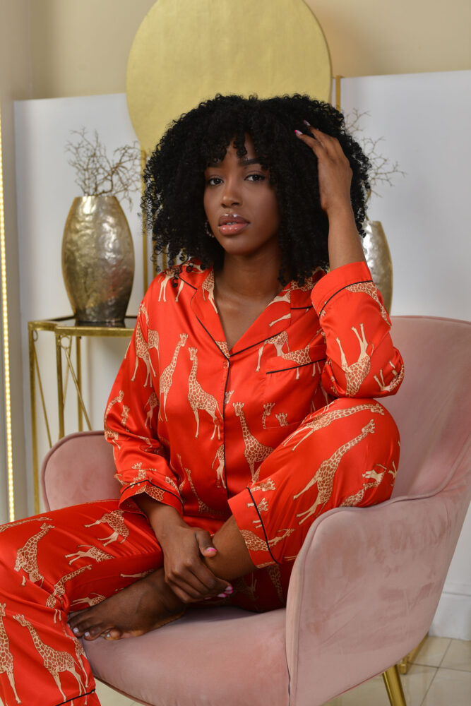 Дельфин в AF Studio