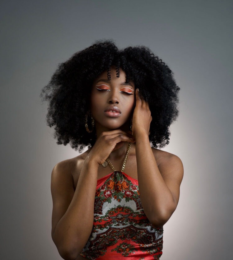 Дельфин в AF Studio