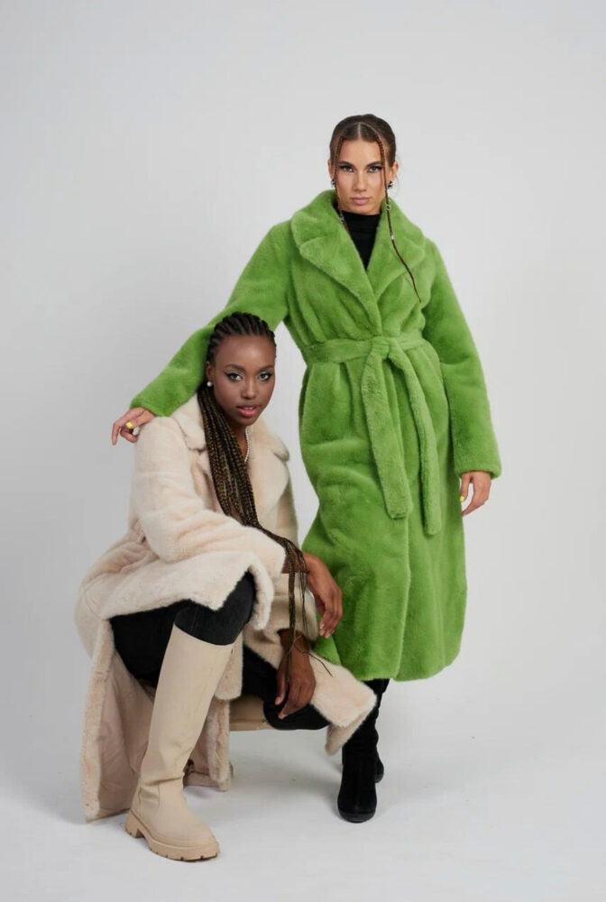 Дельфин в AF Studio