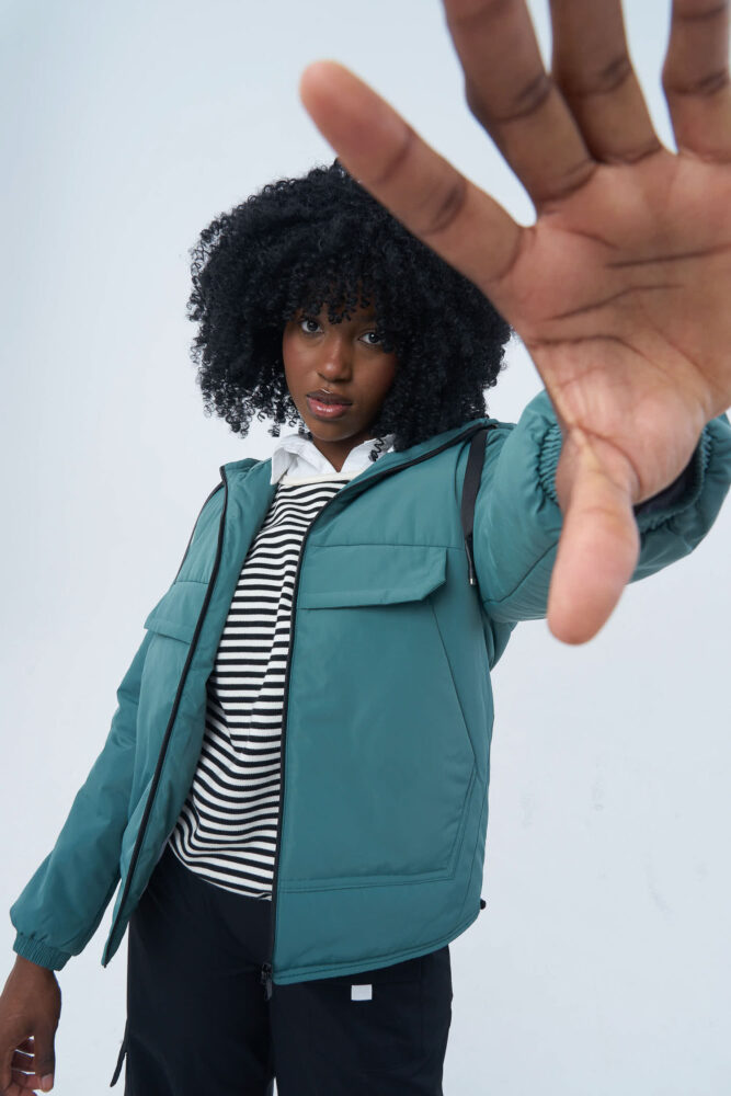 Дельфин в AF Studio