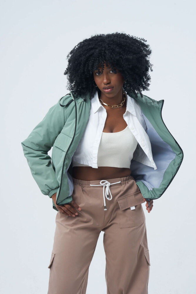 Дельфин в AF Studio