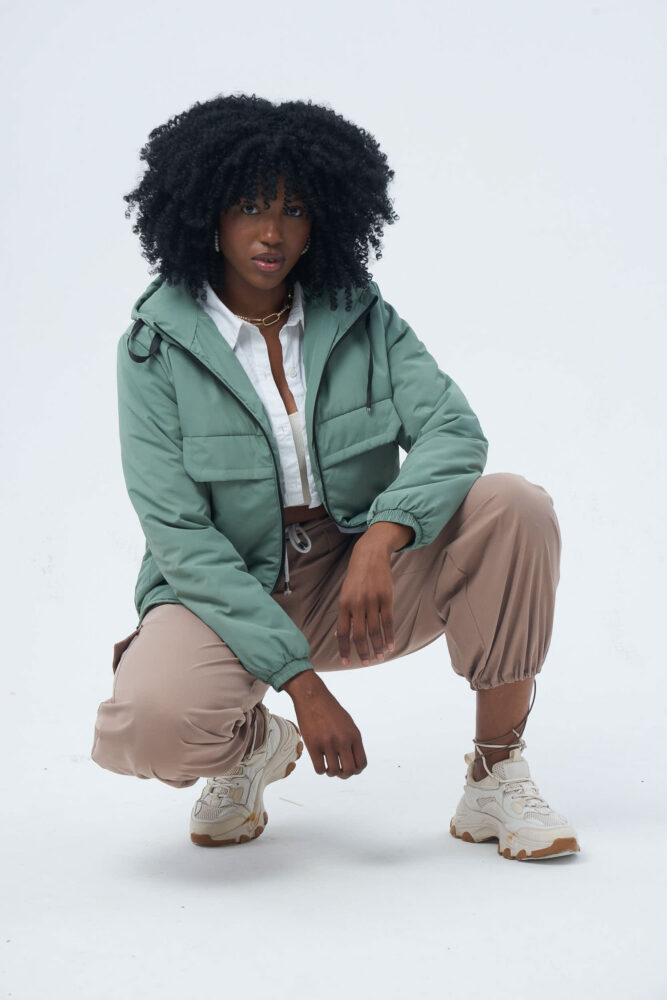 Дельфин в AF Studio