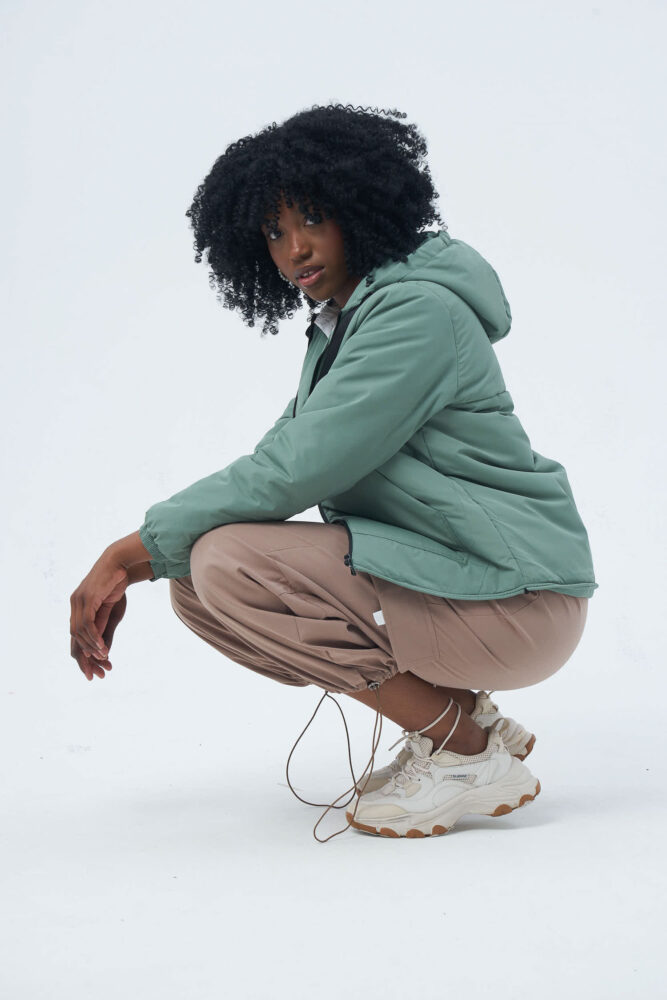 Дельфин в AF Studio