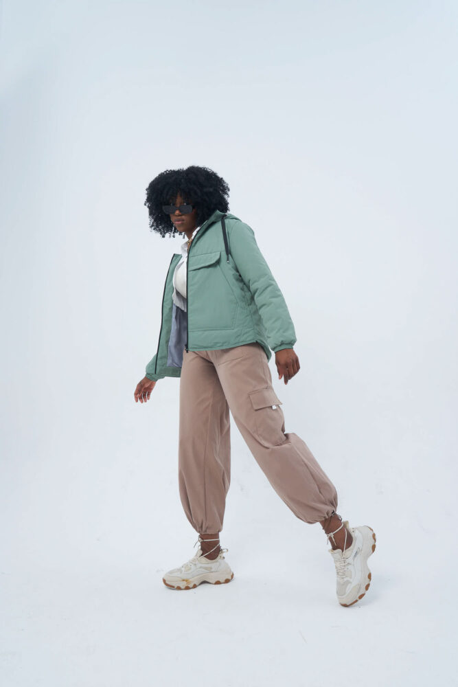 Дельфин в AF Studio