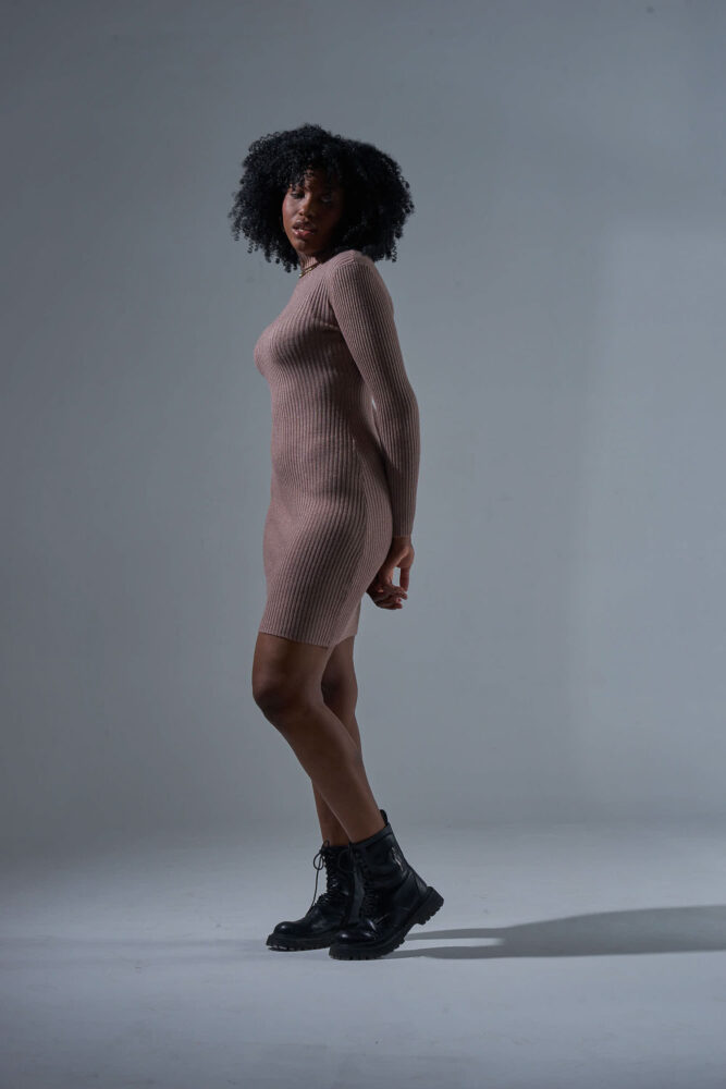 Дельфин в AF Studio