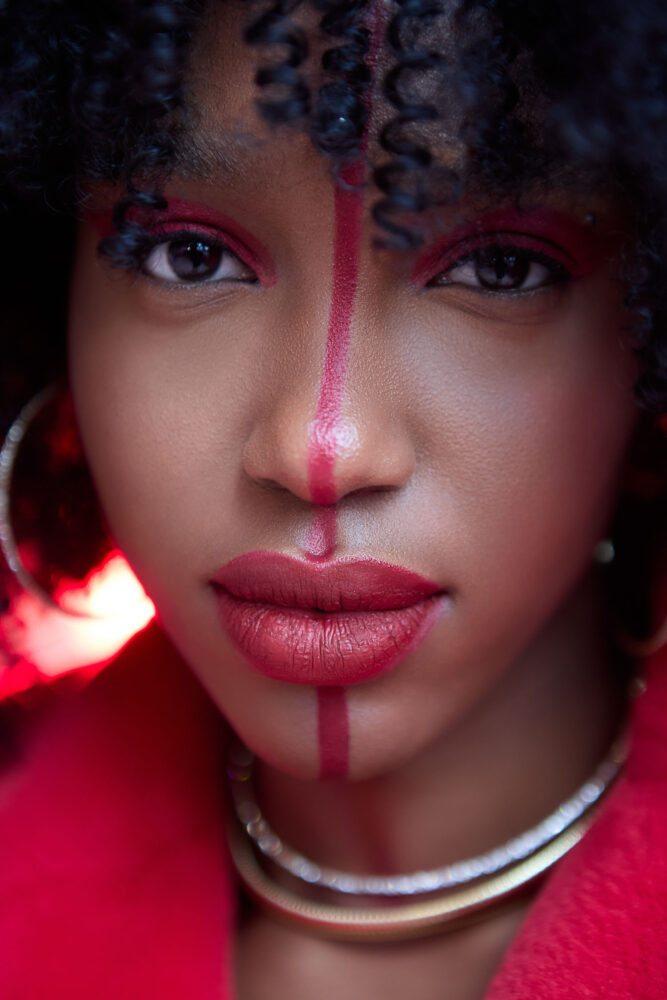 Дельфин в AF Studio