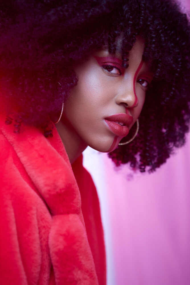 Дельфин в AF Studio