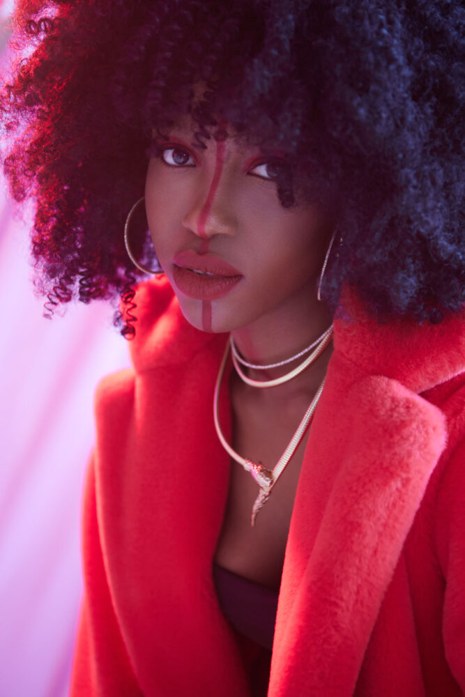 Дельфин в AF Studio