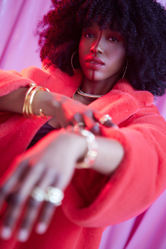 Дельфин в AF Studio