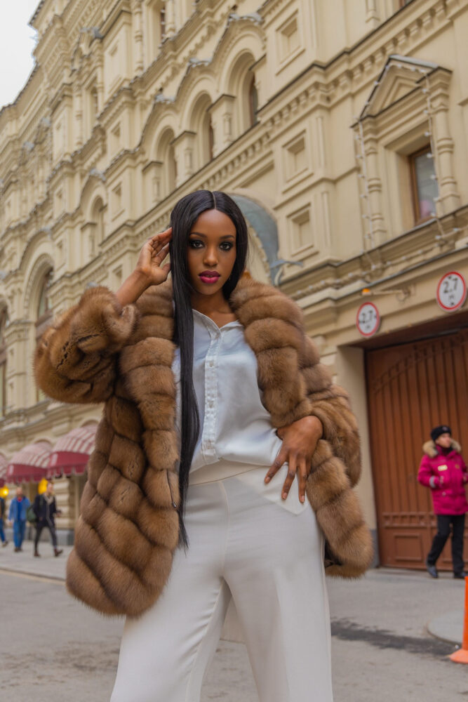 Дельфин в AF Studio