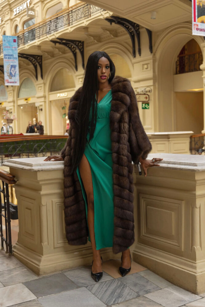 Дельфин в AF Studio