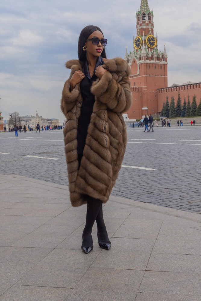 Дельфин в AF Studio