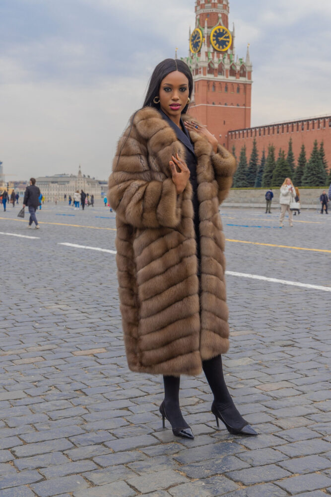 Дельфин в AF Studio