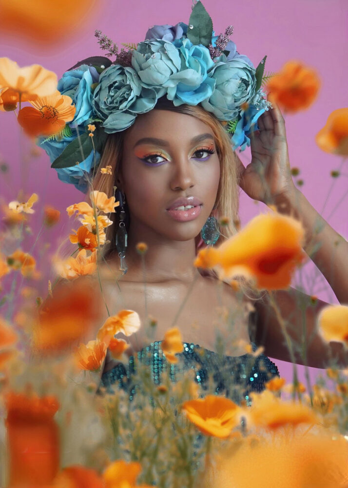 Дельфин в AF Studio