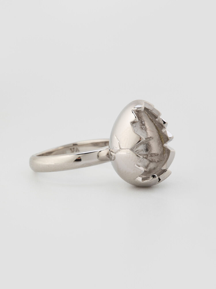 Съемка для WB в AF Studio