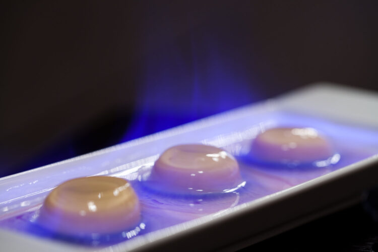 Съемка меню ресторанов в AF Studio